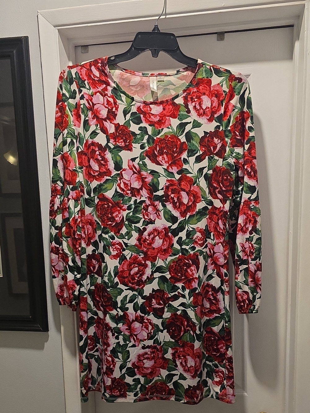 Floral Long-Sleeve Shift Dress - Red Rose Print